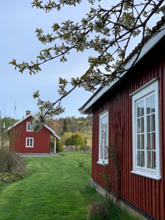 Morellgarden Larvik Bagian luar foto