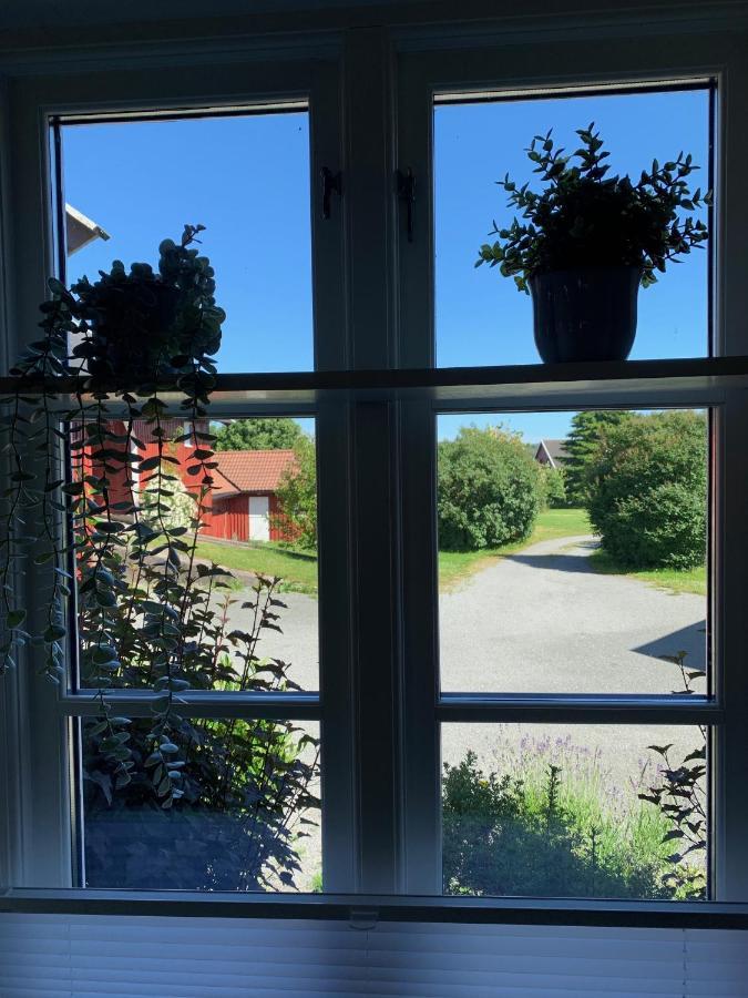 Morellgarden Larvik Bagian luar foto