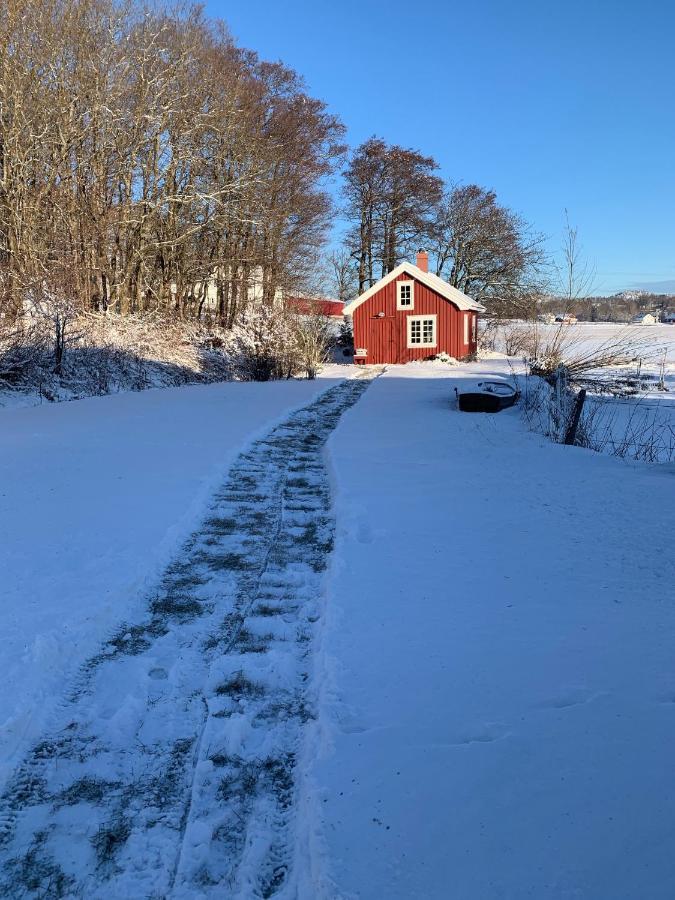 Morellgarden Larvik Bagian luar foto