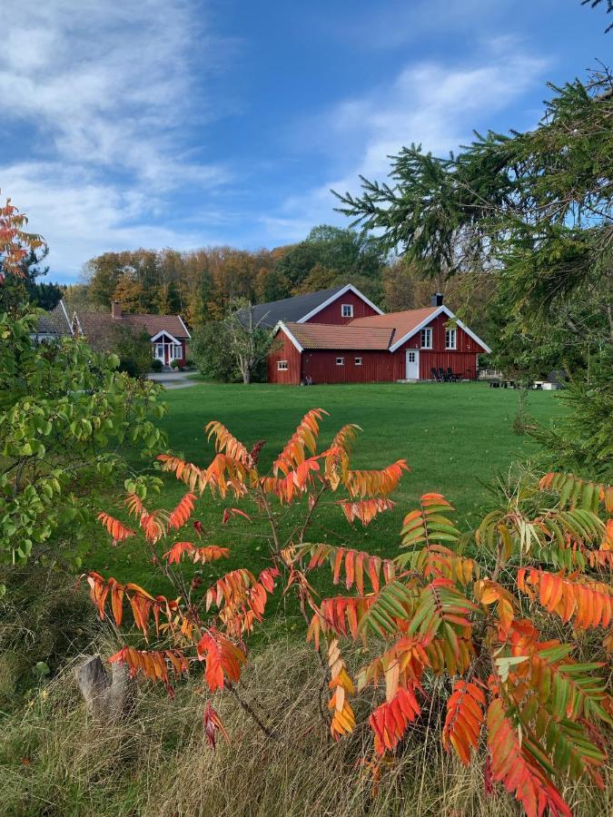 Morellgarden Larvik Bagian luar foto