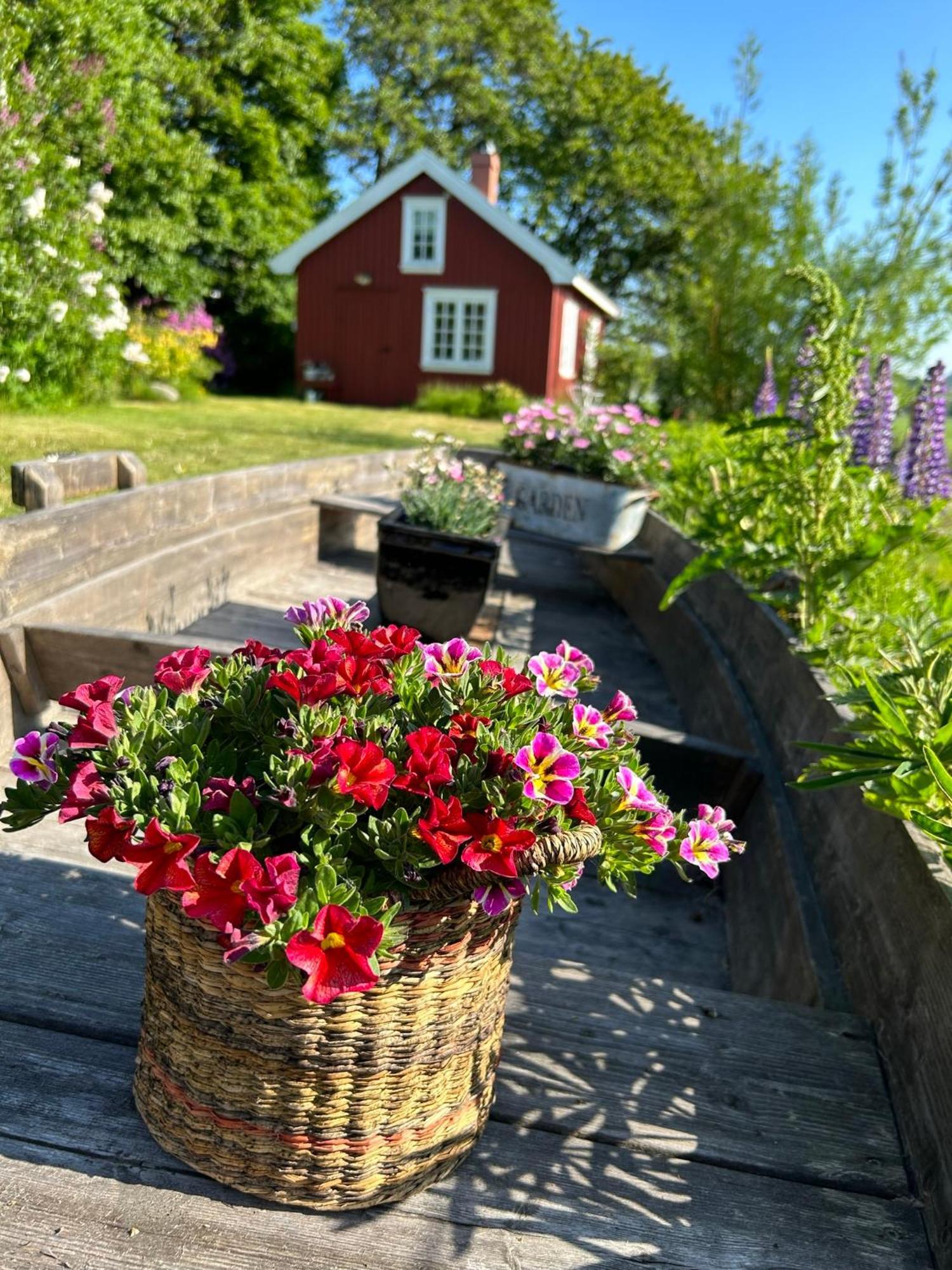 Morellgarden Larvik Bagian luar foto